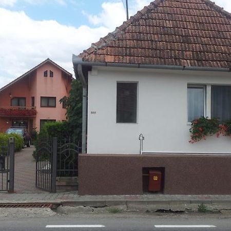 Casuta Andrey & Dan Villa Mihai Viteazu  ภายนอก รูปภาพ